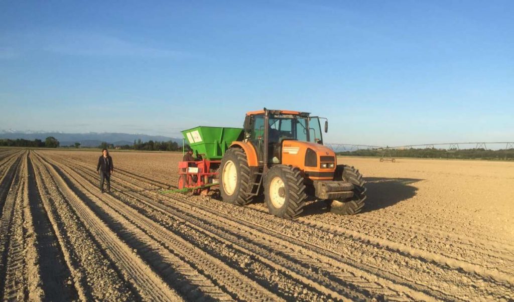 Plantation du miscanthus - Mai 2017