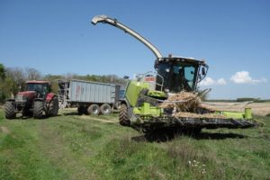 Ensileuses Claas 970