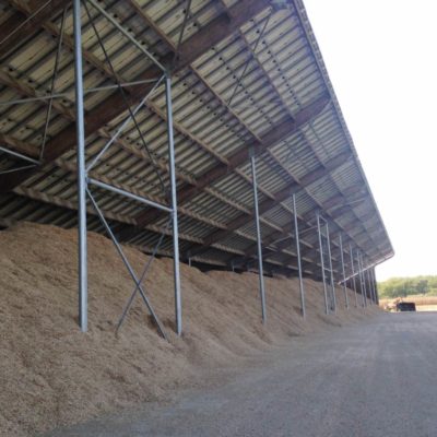 hangar miscanthus longueur