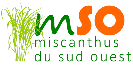 Miscanthus du Sud-Ouest