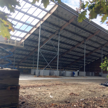 Construction des hangars photovoltaïques