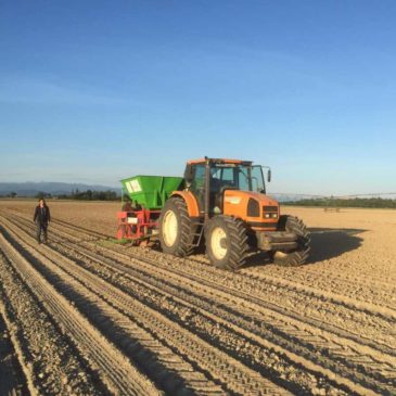 Le chantier de plantation