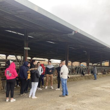 Visite du GAEC de Birol en vaches laitières avec les élèves du BPREA de Saint-Gaudens : les atouts du fumier de miscanthus